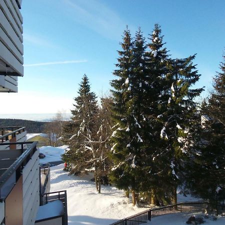 Ferienwohnung Mit Blick In Den Bayrischen Wald Oberhalb Von Sankt Engelmar 상트엥글마 외부 사진