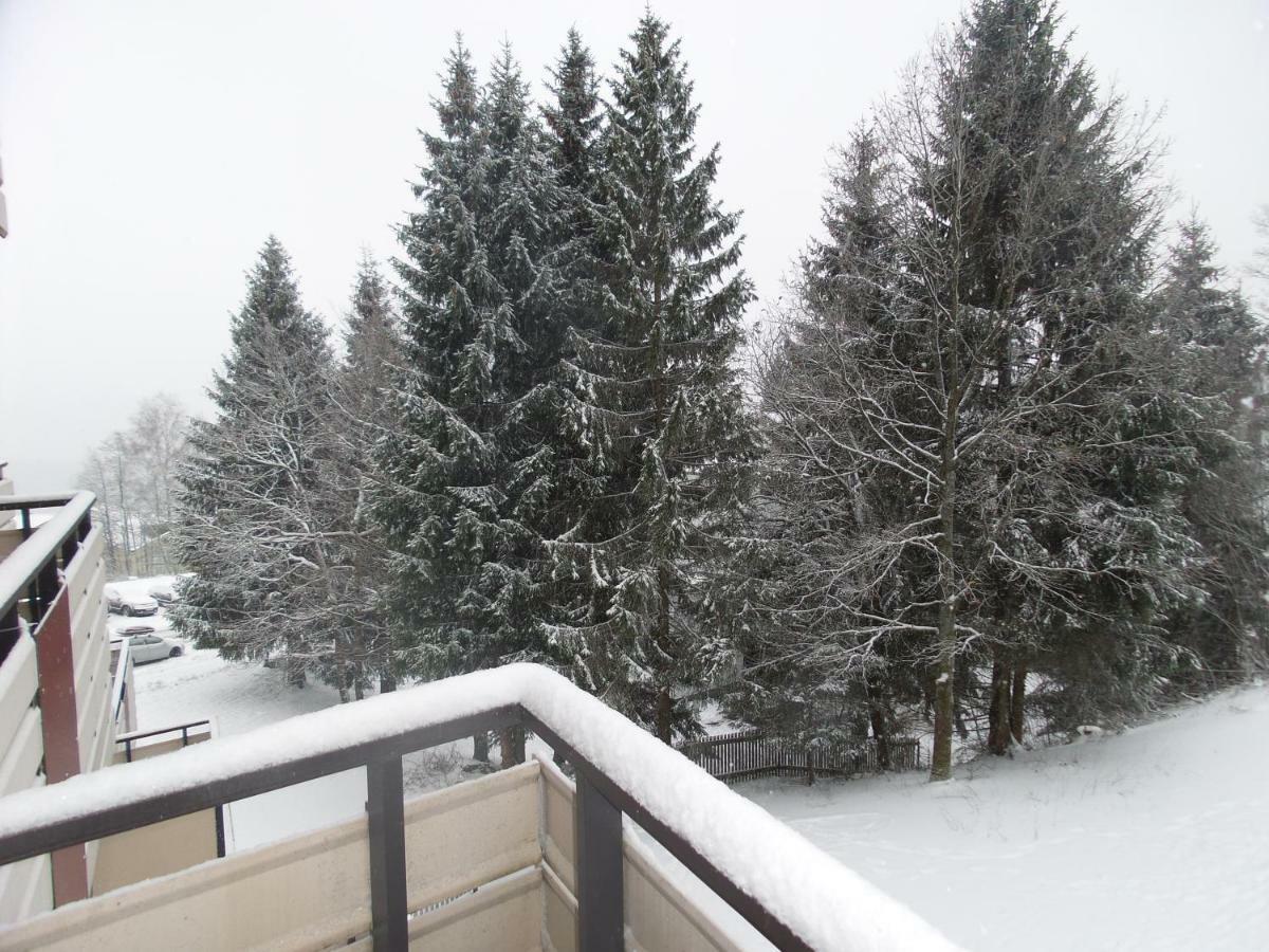 Ferienwohnung Mit Blick In Den Bayrischen Wald Oberhalb Von Sankt Engelmar 상트엥글마 외부 사진